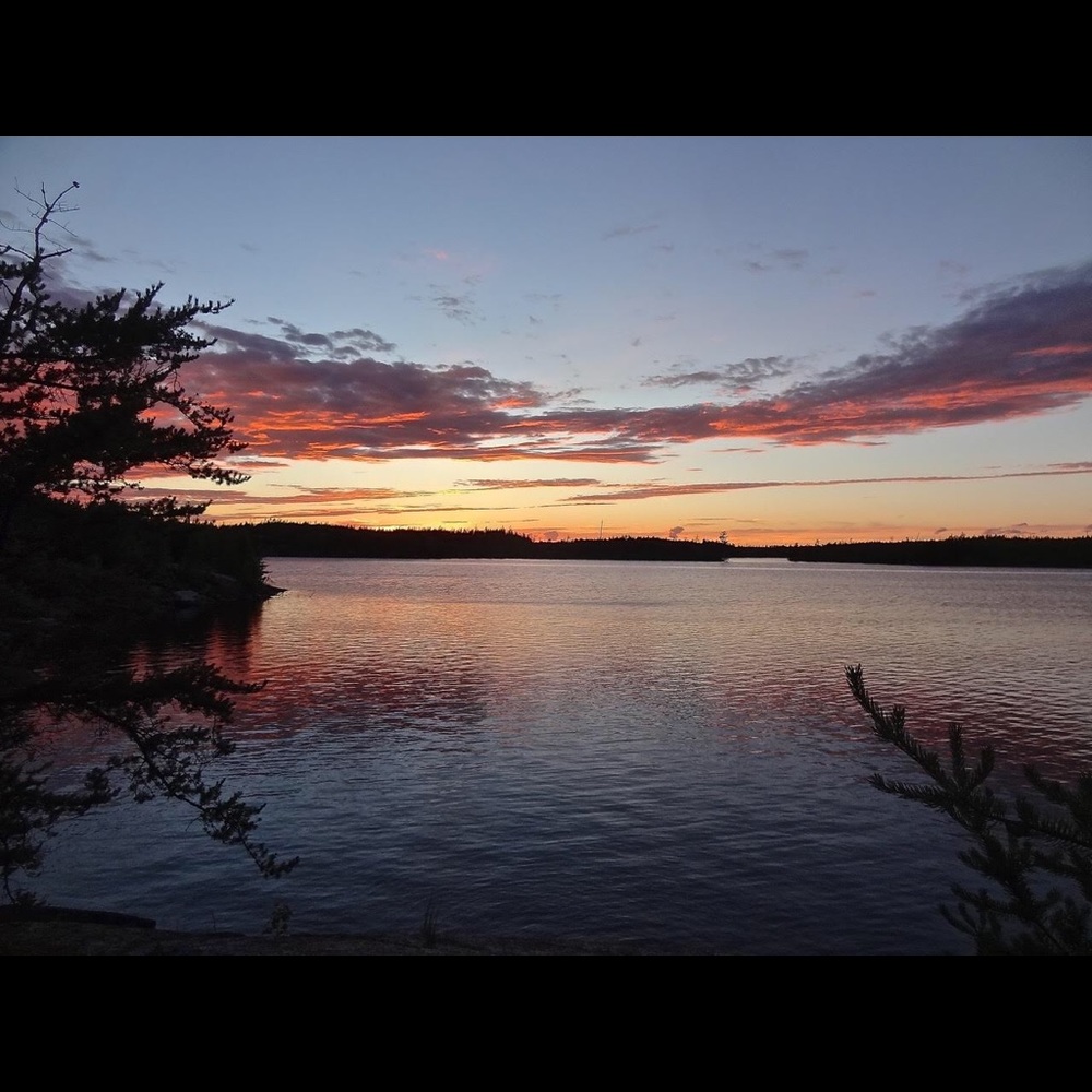 Meet your Posher, Maha